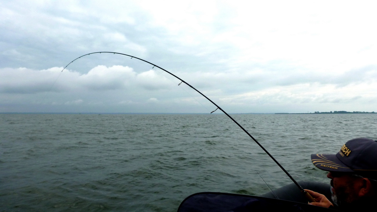 летняя рыбалка с эхолотом видео