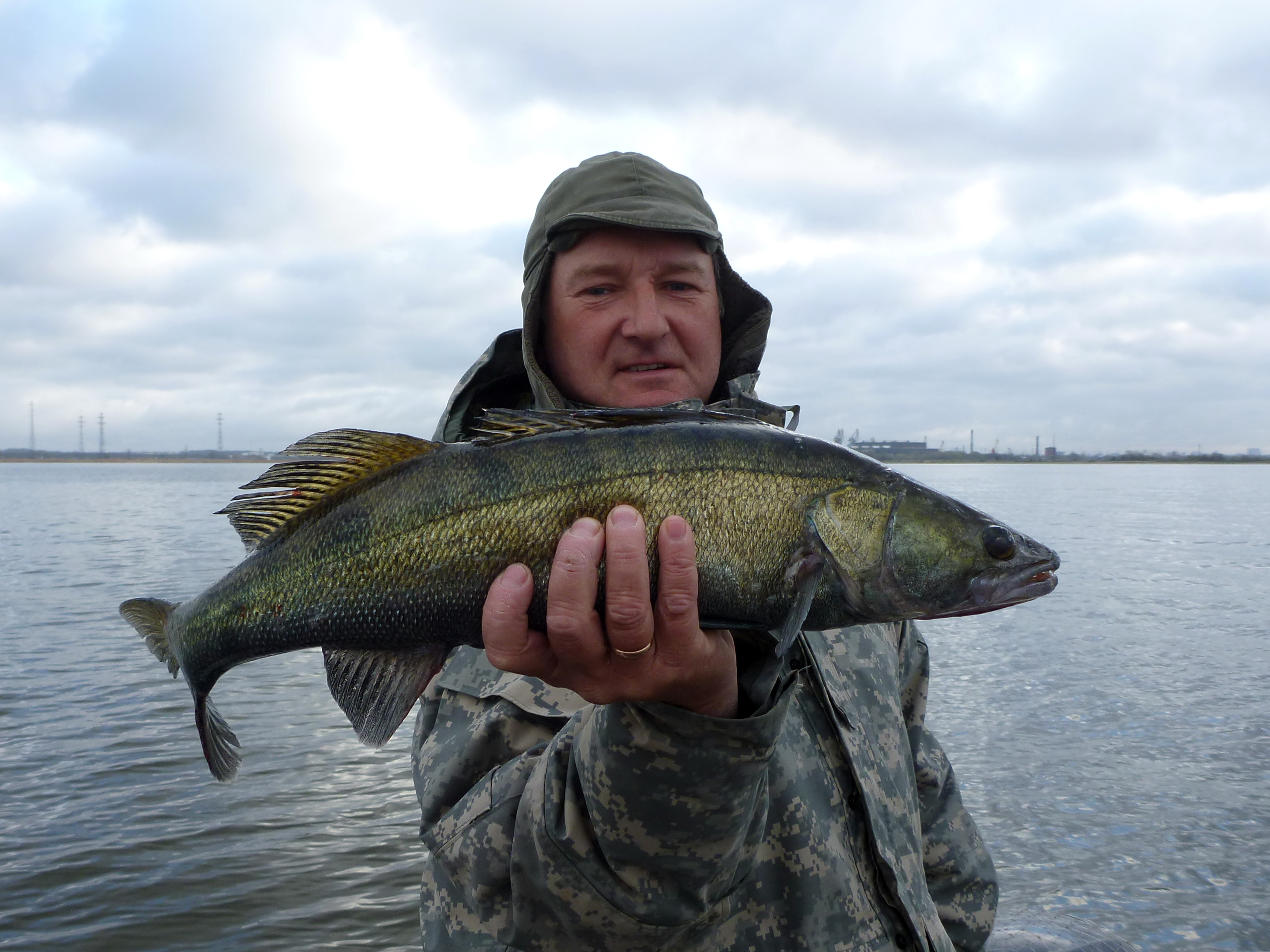 Самая большая рыба в калининградской области. Рыболовля в Калининграде. Рыбалка в Калининграде. Ловля рыбы в Калининграде. Рыбалка в Калининградской области.